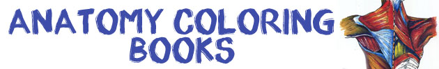 Anatomy Coloring Books