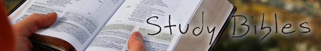 Study Bibles