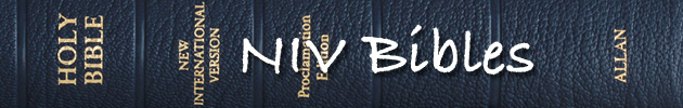 NIV Bibles