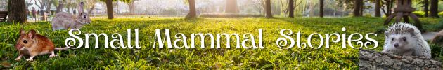 Small Mammal Stories