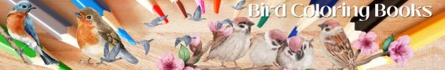 Bird Coloring Books