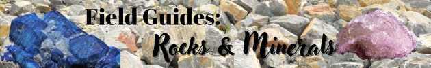 Field Guides: Rocks & Minerals