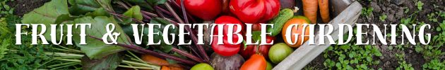 Fruit & Vegetable Gardening