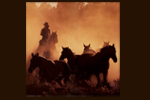 Cowboys & Cattlemen - Exodus Books