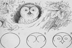 Drawing for Beginners - Exodus Books