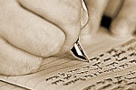 Single-Volume Writing Curriculums - Exodus Books