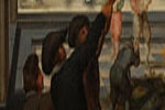 16th Century World History - Exodus Books