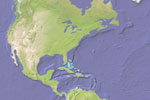 Geography Reference