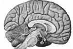 Psychology - Exodus Books