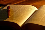 Bibles - Exodus Books