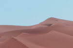 Deserts & Grasslands - Exodus Books