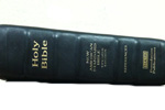 NASB Bibles