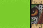 One Small Square - Exodus Books