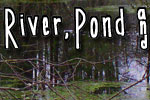 River, Pond & Swamp - Exodus Books