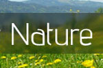 Field Guides & Nature Handbooks