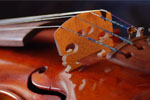 Musical Instrument Instruction - Exodus Books