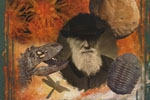 Evolution: The Grand Experiment - Exodus Books