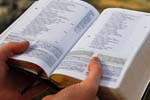 Study Bibles - Exodus Books
