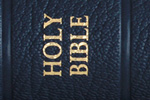 NIV Bibles - Exodus Books