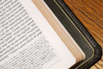 Thinline Bibles - Exodus Books