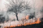 Natural Disasters: Fires and Floods - Exodus Books