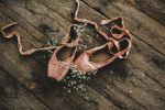 Ballet Stories - Exodus Books