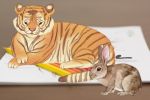 Animal Habitat Coloring Books - Exodus Books