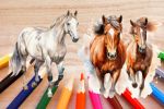 Horse Coloring Books - Exodus Books