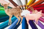 Mammal Coloring Books - Exodus Books