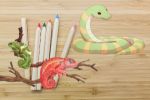 Reptile Coloring Books - Exodus Books