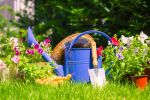 Flower Gardening - Exodus Books