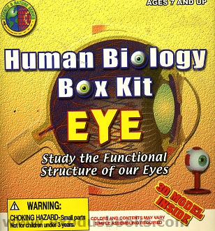 Human Biology Box Kit; two to choose from 