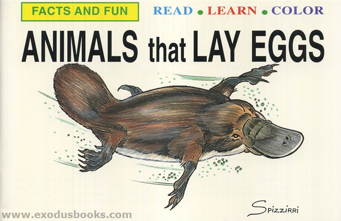 Animals That Lay Eggs - Exodus Books Animals That Lay Eggs - Exodus Books