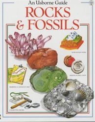 Rocks & Fossils