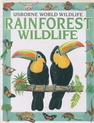 Rainforest Wildlife