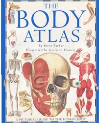 Body Atlas