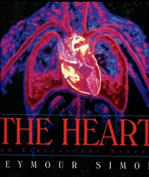 Heart: Our Circulatory System