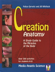 Creation Anatomy