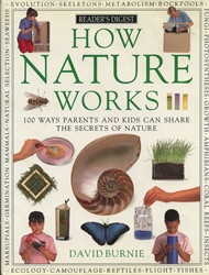 How Nature Works