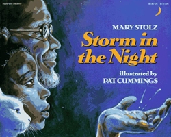 Storm in the Night