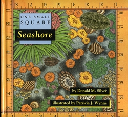 One Small Square: Seashore