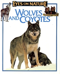 Eyes on Nature: Wolves and Coyotes