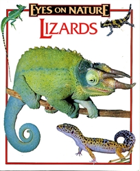Eyes on Nature: Lizards