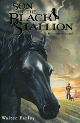 Son of the Black Stallion