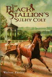 Black Stallion's Sulky Colt