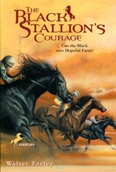 Black Stallion's Courage