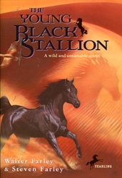 Young Black Stallion