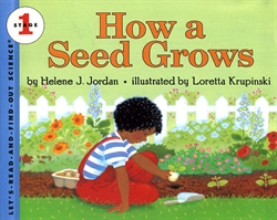 How a Seed Grows