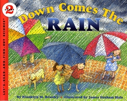 Down Comes the Rain