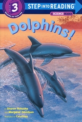 Dolphins!